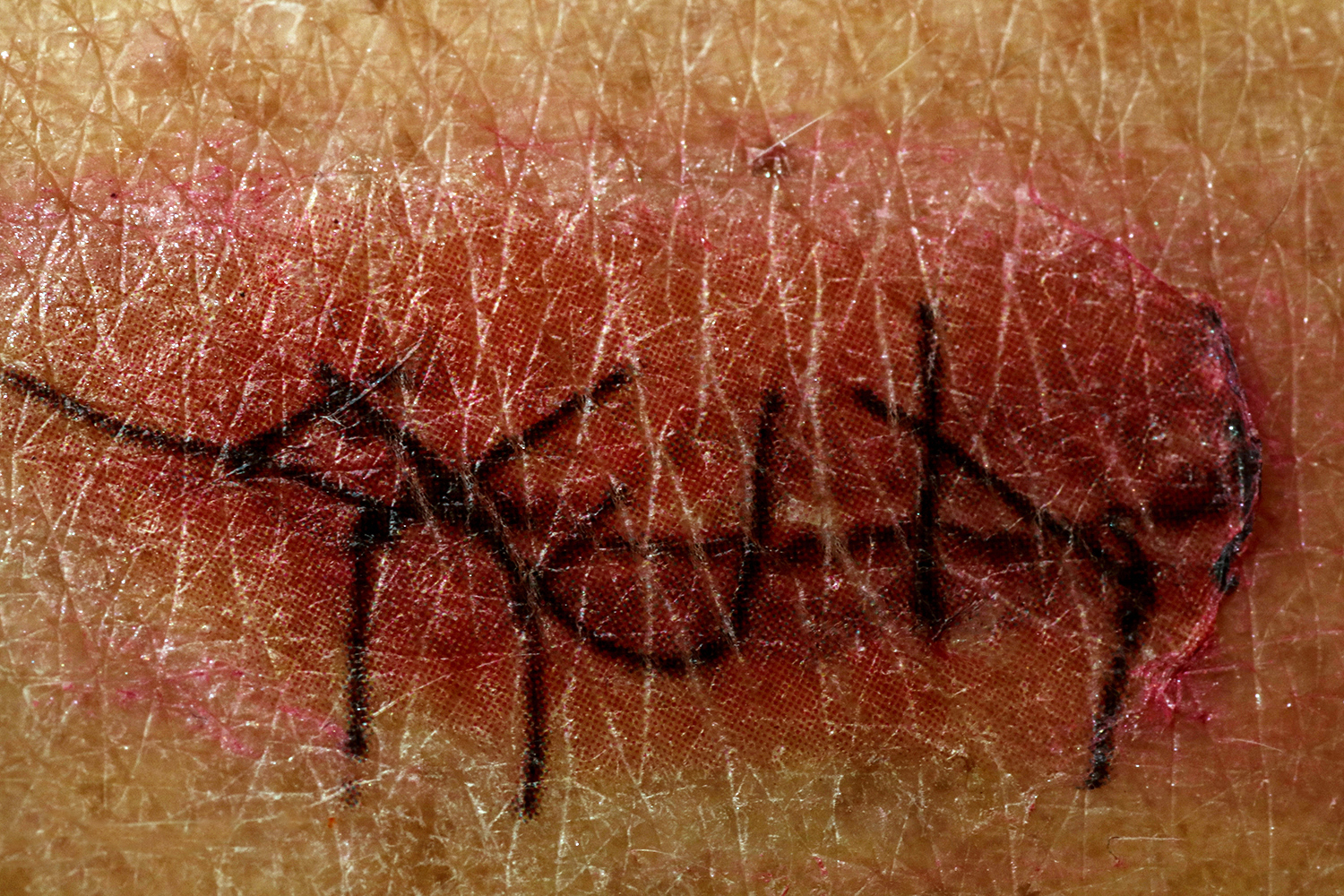 2. IMG_9941 cpps1500